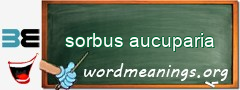 WordMeaning blackboard for sorbus aucuparia